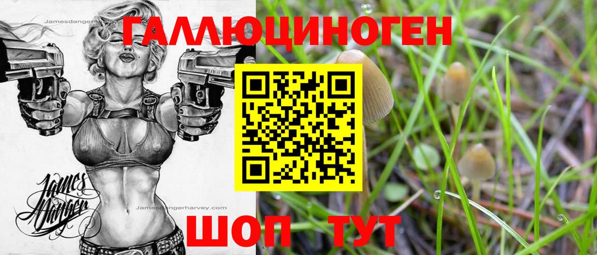 Галлюциногенные грибы мухоморы Кореновск